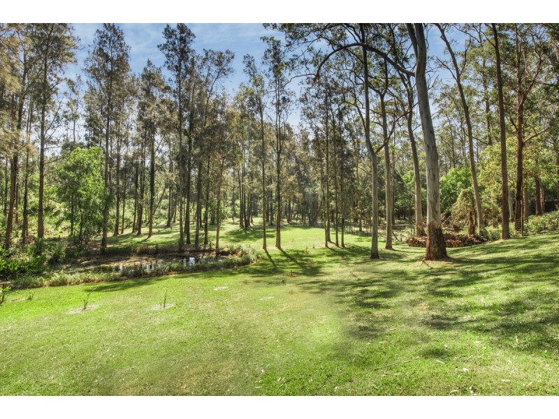 211 Wells Street, Springfield NSW 2250