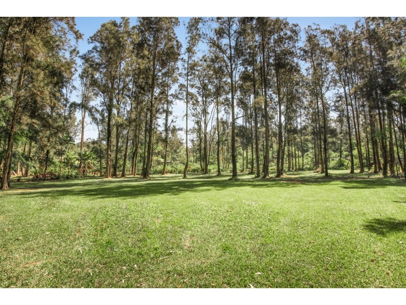 211 Wells Street, Springfield NSW 2250