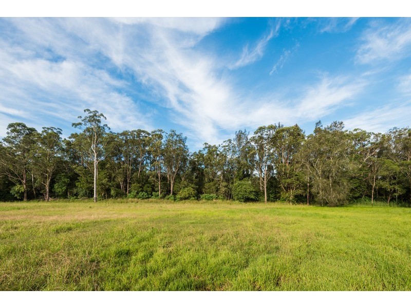 221 Wells Street, Springfield NSW 2250