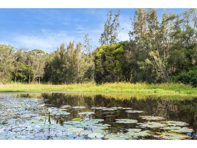 221 Wells Street, Springfield NSW 2250