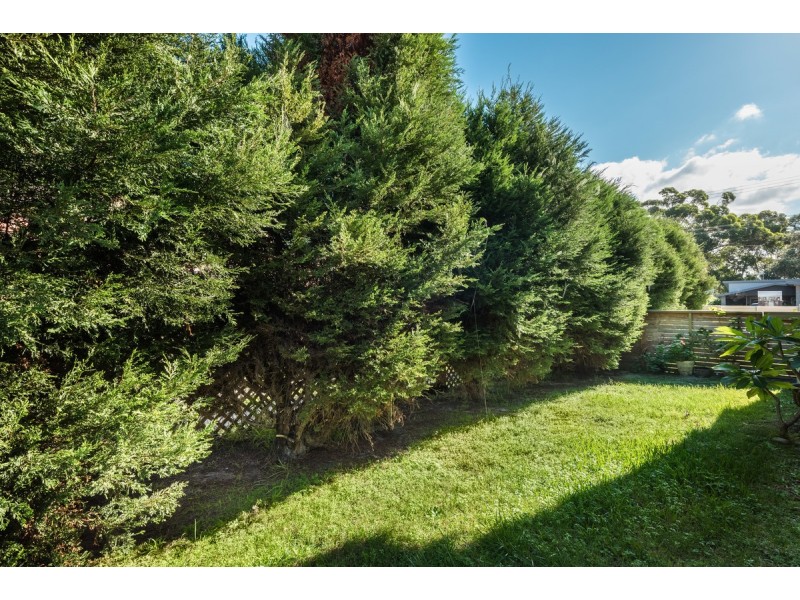 110 Grandview Street, Shelly Beach NSW 2261