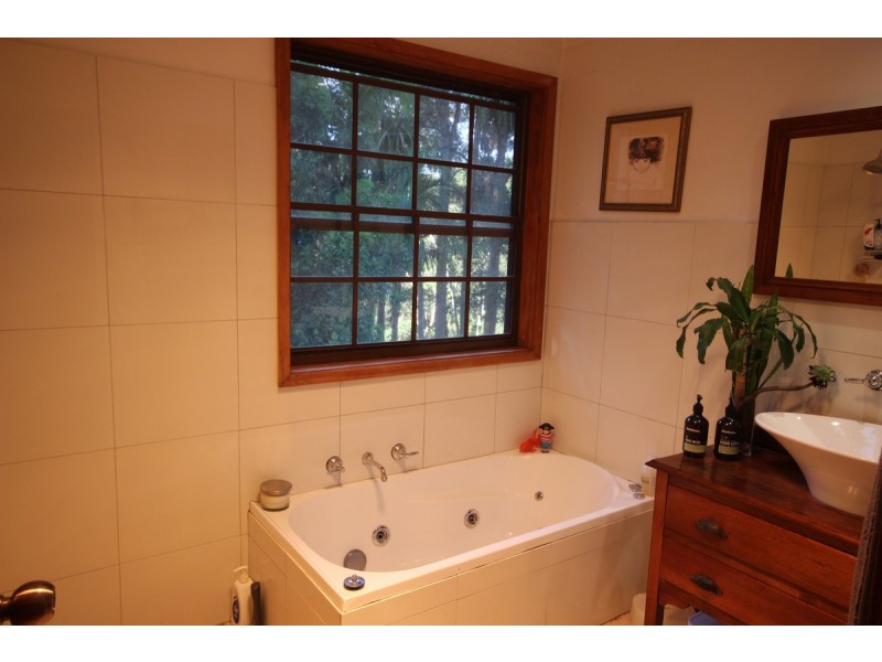 38 Rainforest Road, Wyoming NSW 2250