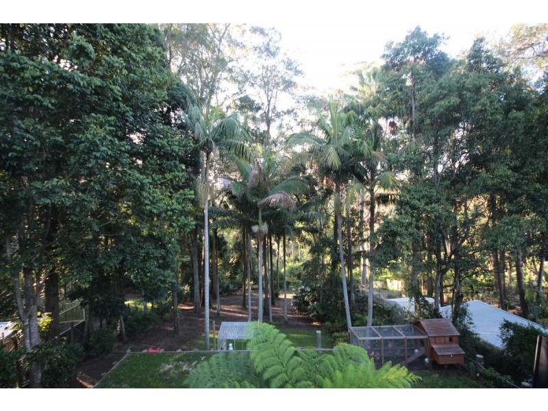 38 Rainforest Road, Wyoming NSW 2250