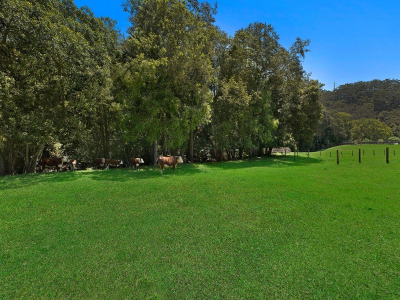 36 Howes Road, Ourimbah NSW 2258