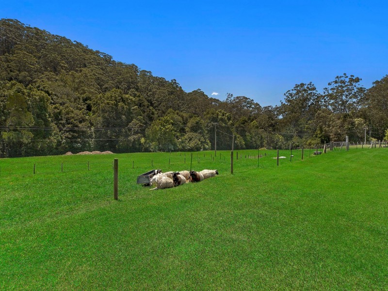 36 Howes Road, Ourimbah NSW 2258
