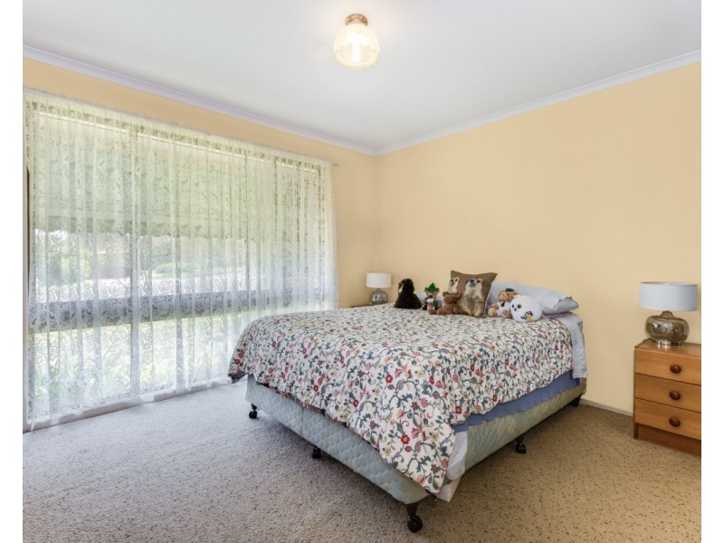 6 Dogwood Close, Wyoming NSW 2250