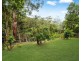 16 Tulip Street, Springfield NSW 2250