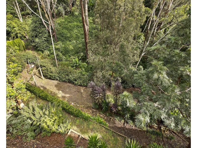 15 Rengbari Place, Avoca Beach NSW 2251