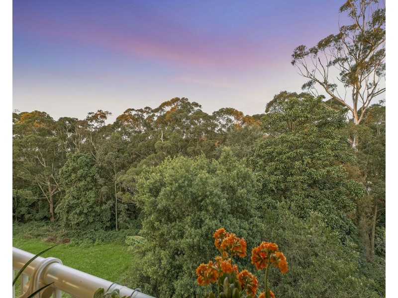 23 Port Jackson Road, Terrigal NSW 2260