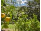 31 Bidjiwong Road, Matcham NSW 2250