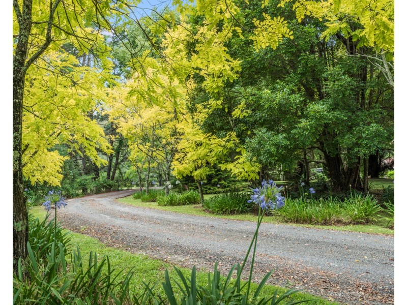 43 Wattle Tree Road, Holgate NSW 2250