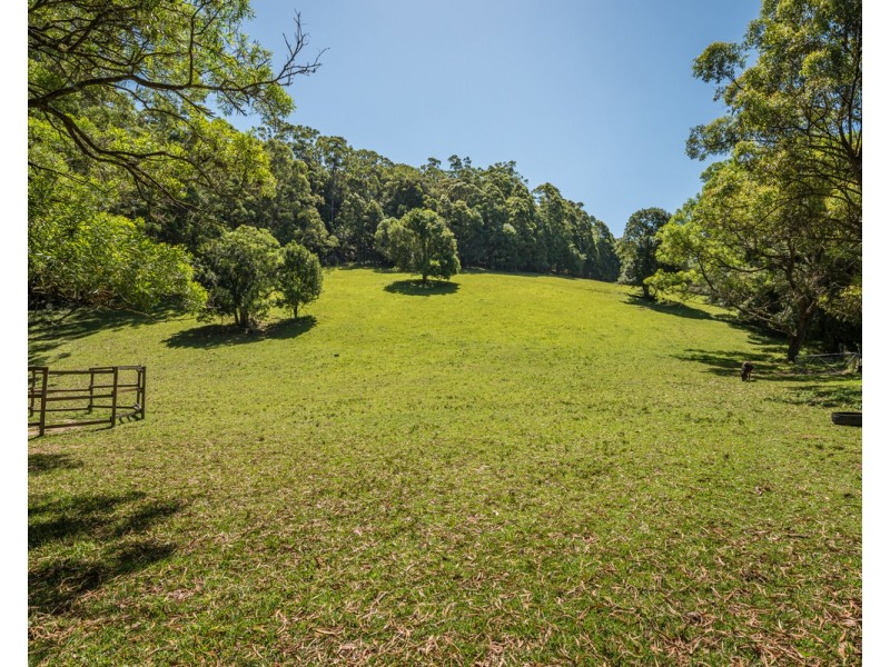 319 Wattle Tree Road, Holgate NSW 2250