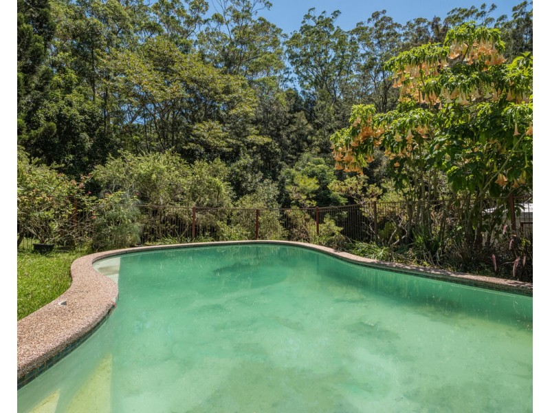 319 Wattle Tree Road, Holgate NSW 2250