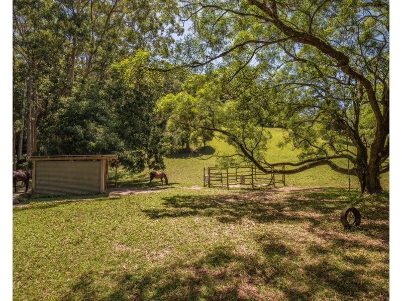 319 Wattle Tree Road, Holgate NSW 2250