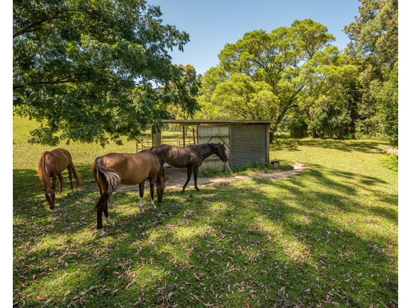319 Wattle Tree Road, Holgate NSW 2250