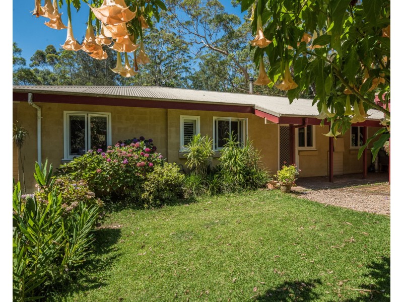 319 Wattle Tree Road, Holgate NSW 2250