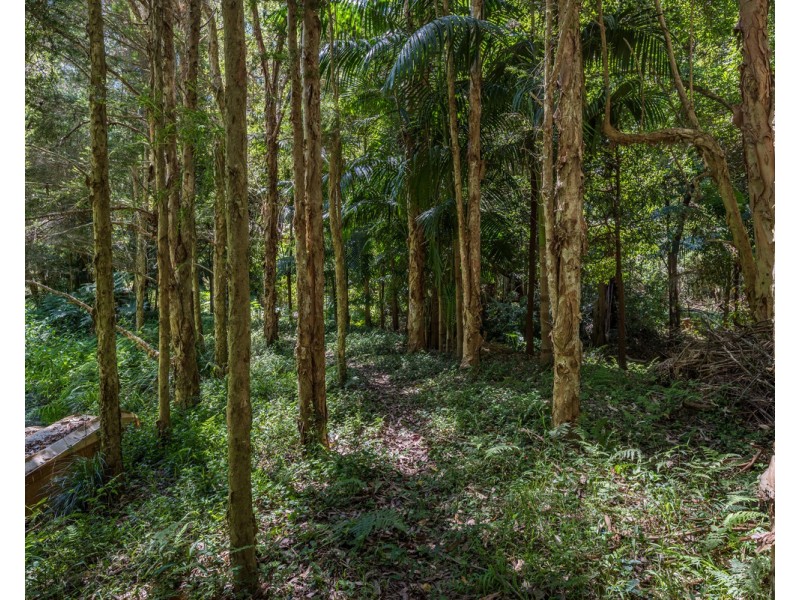 319 Wattle Tree Road, Holgate NSW 2250