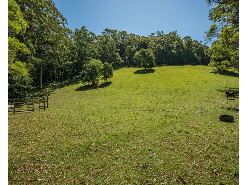 319 Wattle Tree Road, Holgate NSW 2250