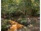 319 Wattle Tree Road, Holgate NSW 2250