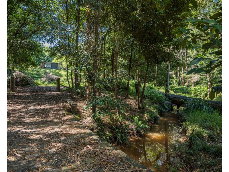 319 Wattle Tree Road, Holgate NSW 2250