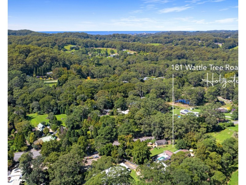 181 Wattle Tree Road, Holgate NSW 2250
