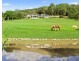 9 Stimsons Lane, Tumbi Umbi NSW 2261