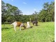 9 Stimsons Lane, Tumbi Umbi NSW 2261