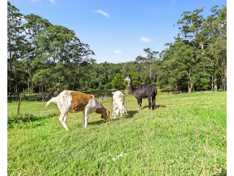 9 Stimsons Lane, Tumbi Umbi NSW 2261