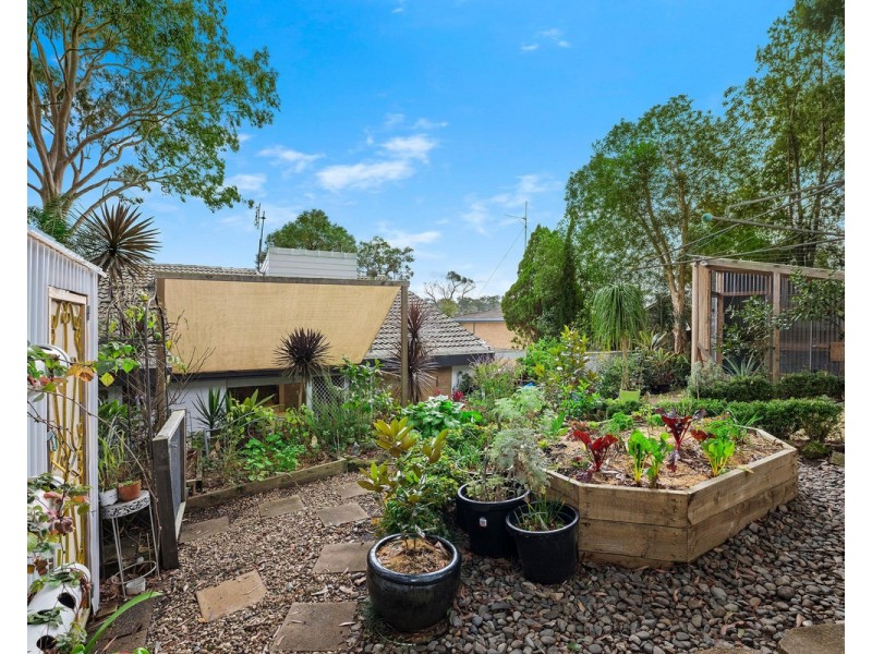 24 Maple Street, Wyoming NSW 2250