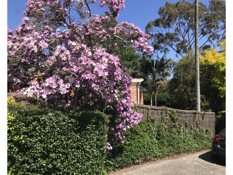 3/93 Old Gosford Road, Wamberal NSW 2260