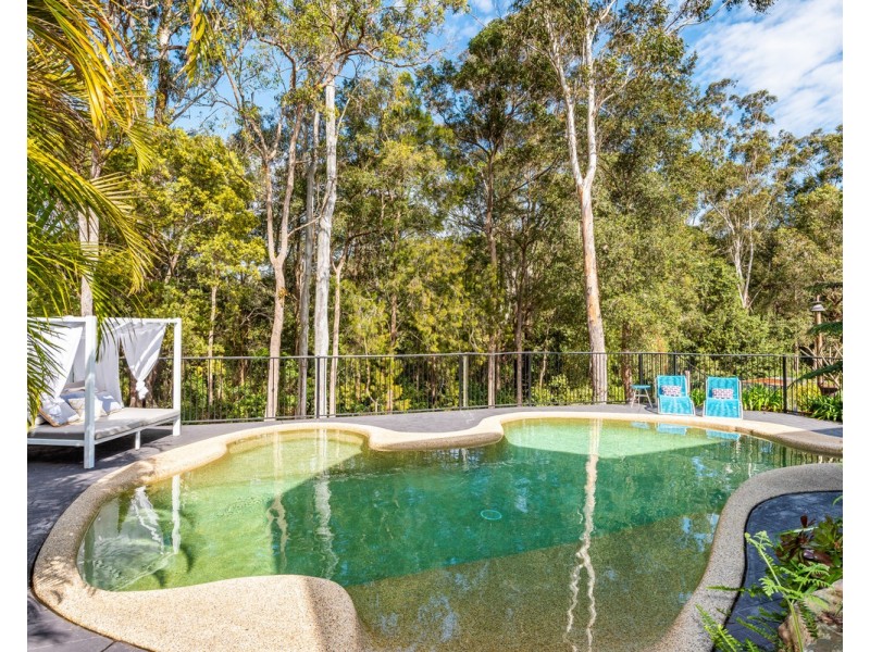 19 Hillgrove Close, Ourimbah NSW 2258