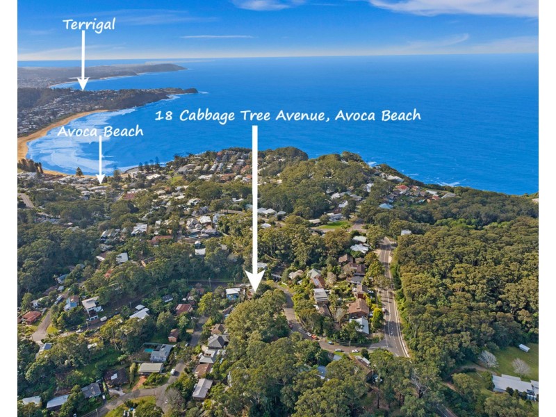 18 Cabbage Tree Avenue, Avoca Beach NSW 2251