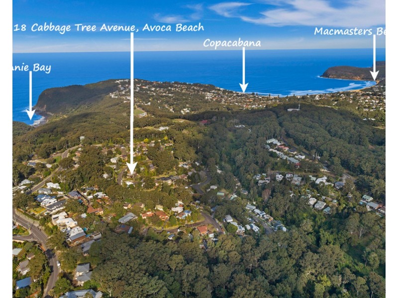 18 Cabbage Tree Avenue, Avoca Beach NSW 2251