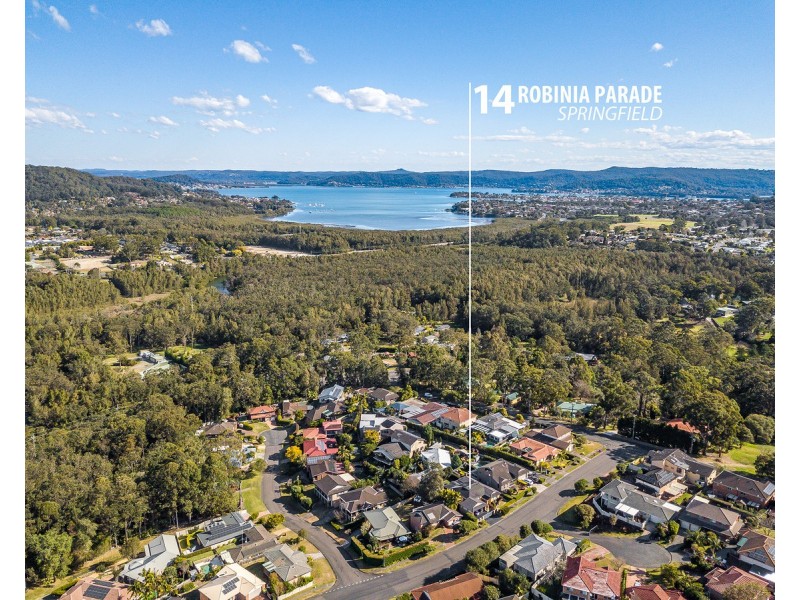 14 Robinia Parade, Springfield NSW 2250