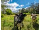 129 The Ridgeway, Lisarow NSW 2250