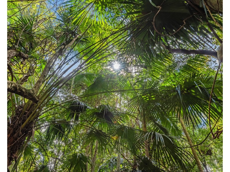 129 The Ridgeway, Lisarow NSW 2250