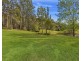 81 Wilkinson Road, Martinsville NSW 2265