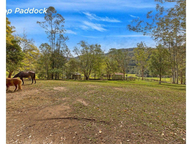 81 Wilkinson Road, Martinsville NSW 2265