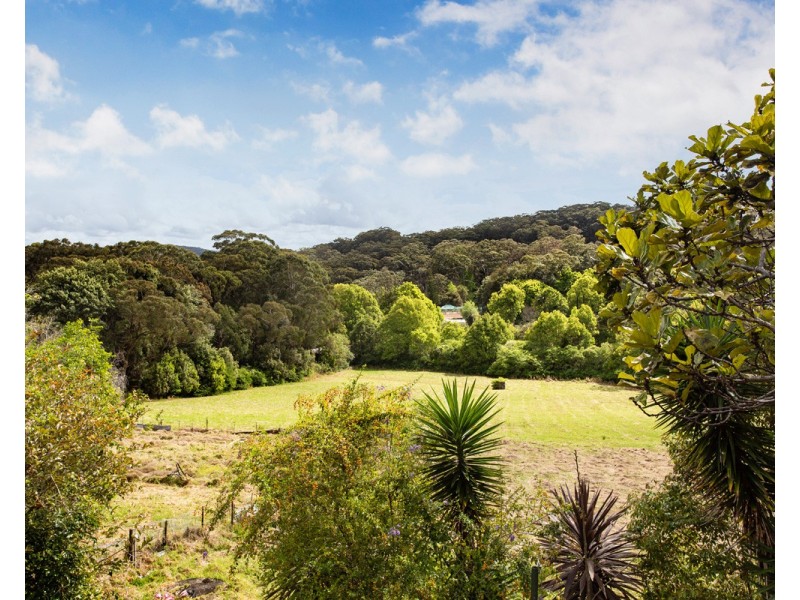 261 Terrigal Drive, Terrigal NSW 2260