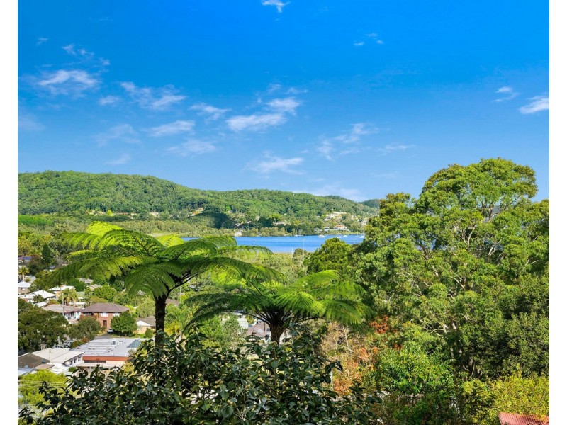 38 Dolly Avenue, Springfield NSW 2250