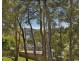 14 Chapman Crescent, Avoca Beach NSW 2251