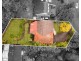77 Wendy Drive, Point Clare NSW 2250