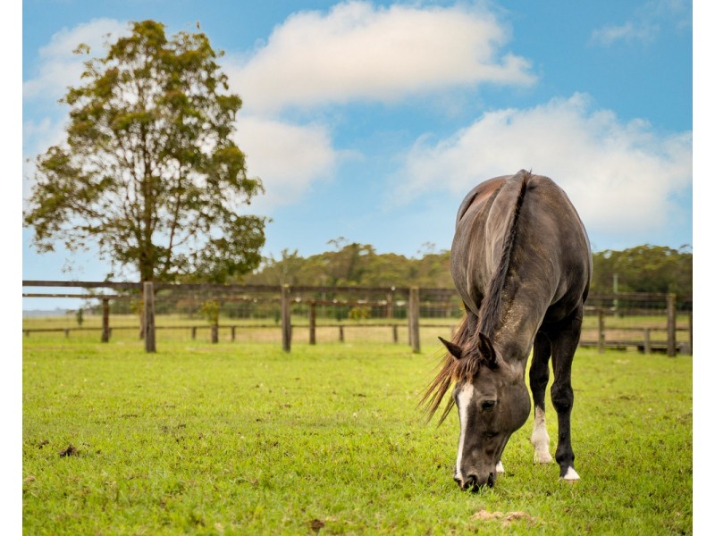 20 Kirks Road, Mangrove Mountain NSW 2250