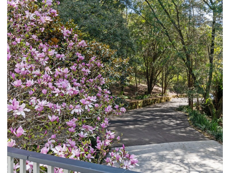 12 Croton Avenue, Holgate NSW 2250