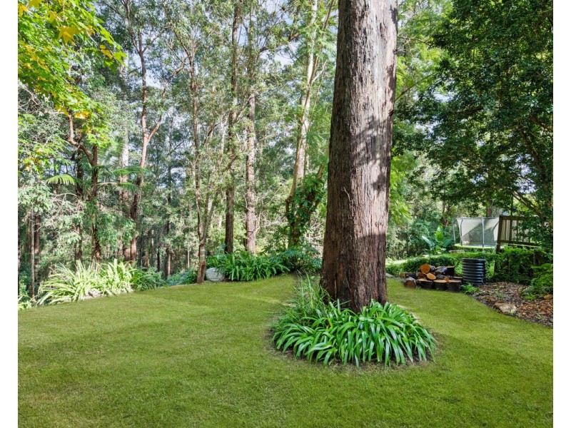 40 Malison Street, Wyoming NSW 2250