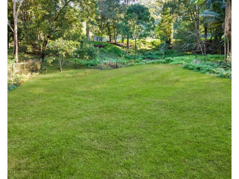 335 Wattle Tree Road, Holgate NSW 2250