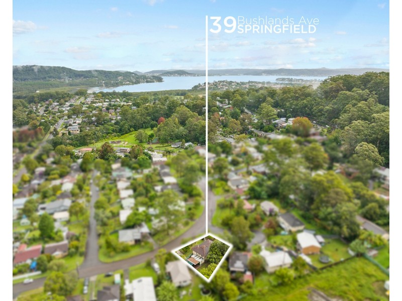 39 Bushlands Avenue, Springfield NSW 2250
