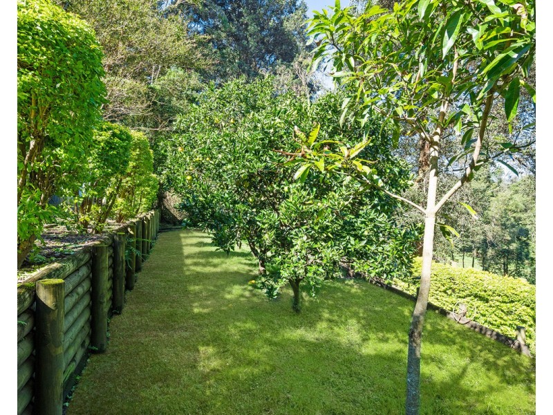 Erina Heights NSW 2260