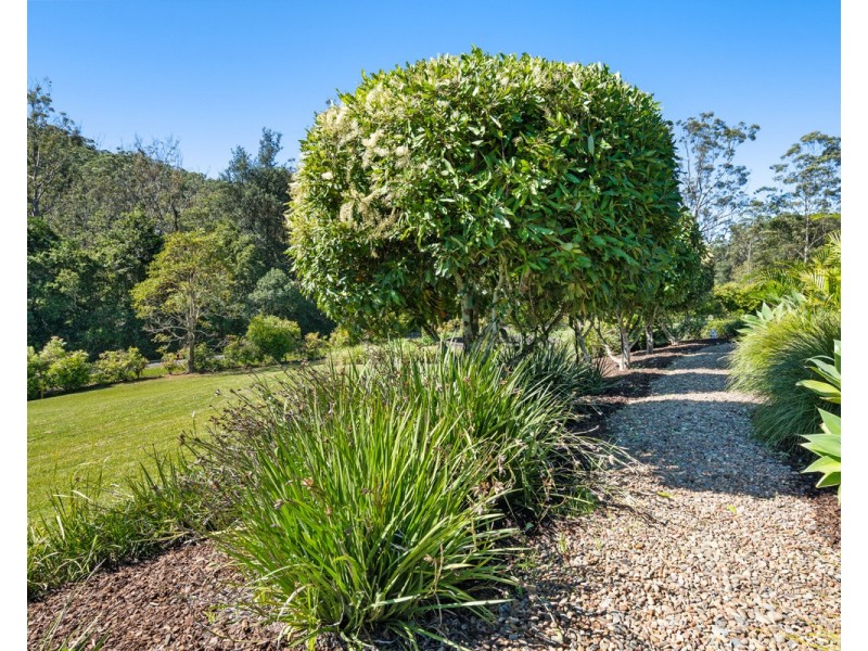 50 Pryor Road, Ourimbah NSW 2258