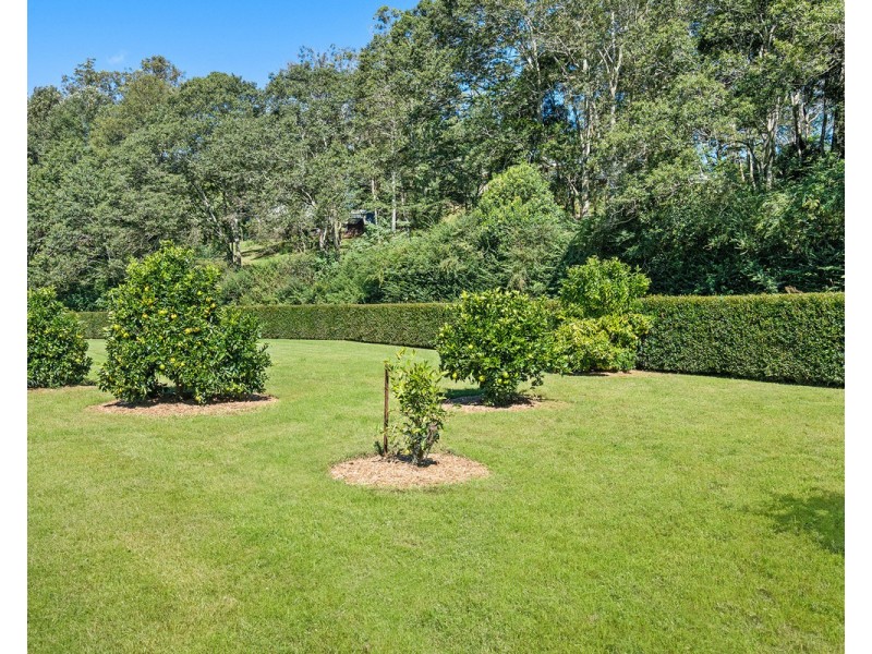 50 Pryor Road, Ourimbah NSW 2258